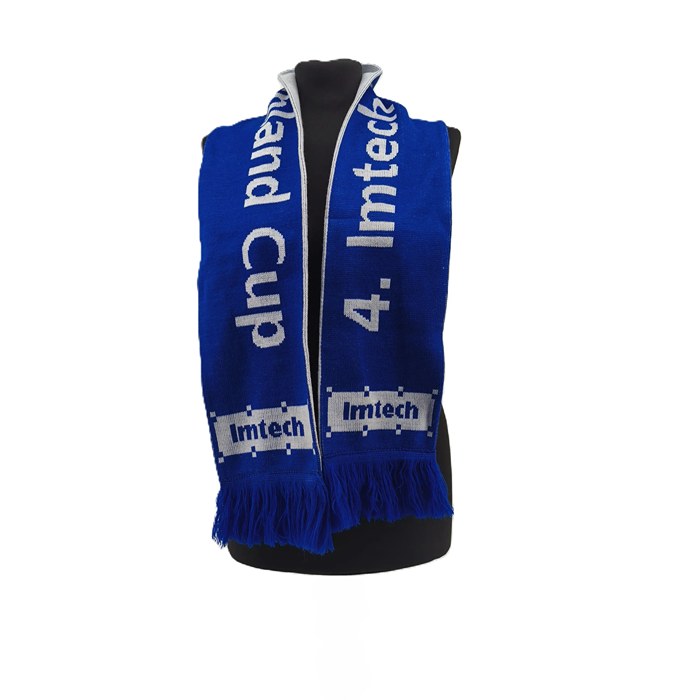 Vintage Imtech Arena Event-Schal 2011 in Blau und Weiß auf hellem Hintergrund